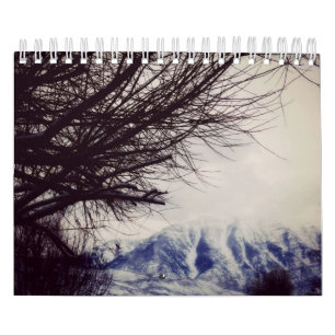 12 mois du Néerlandais d'année/du calendrier de 
