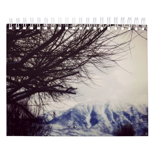 12 mois du Néerlandais d'année/du calendrier de la (Protection)