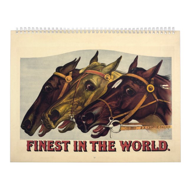 12 mois le meilleur du calendrier mondial (Protection)