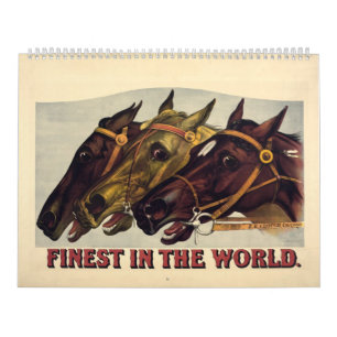 12 mois le meilleur du calendrier mondial