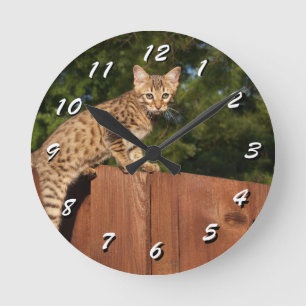 12 Nombre de choix à choisir : horloge de chat