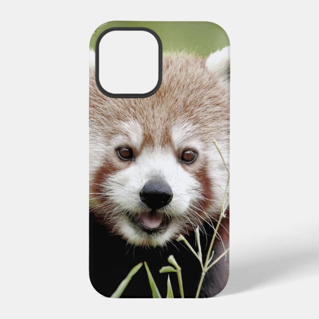 12 Pro coque iphone Photo panda géant, animaux. (Verso)