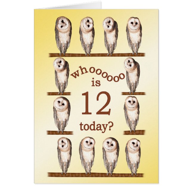 12e anniversaire, Carte des chouettes curieux. (Devant)