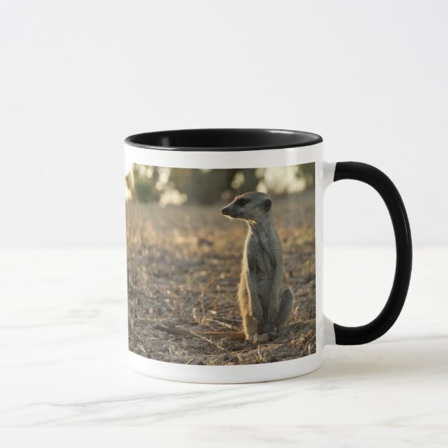 12ème tasse d'anniversaire de Zaphod (Droite)