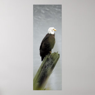 12x36 Poster Paper (Matte) d'aigle