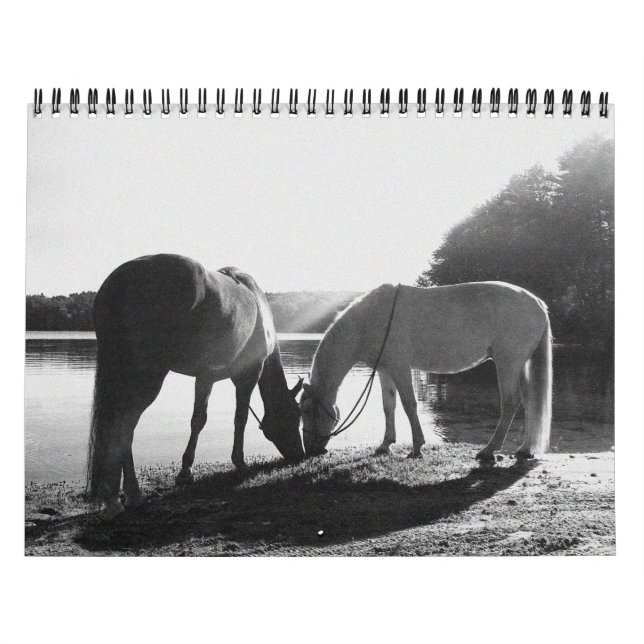 13 calendrier du mois 2011 (Protection)