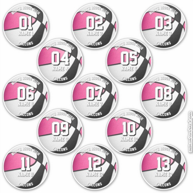 13 pink black team colors basketball stickers (Devant)