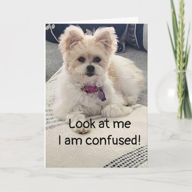 **13e ANNIVERSAIRE** SI CONFUS ! Carte (Devant)