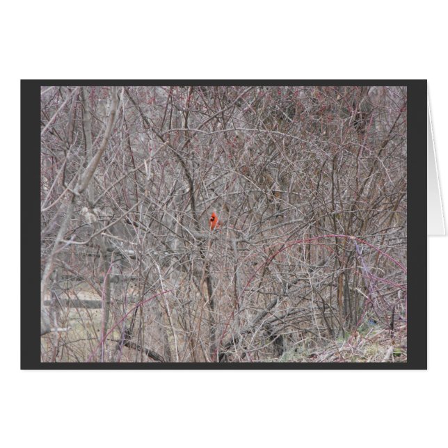 ~ 14 d'hiver (Devant horizontal)