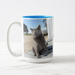 15 onces. Tasse de chat