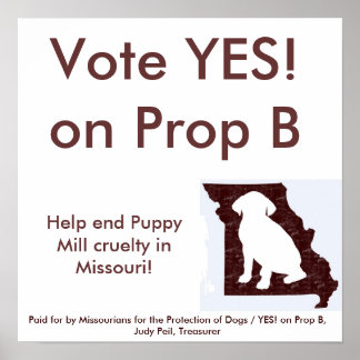 15" par 15" - OUI ! sur Prop B Poster