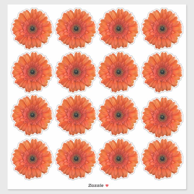 16 autocollants de fleurs d'orange Gerbera Daisy F (Feuille)