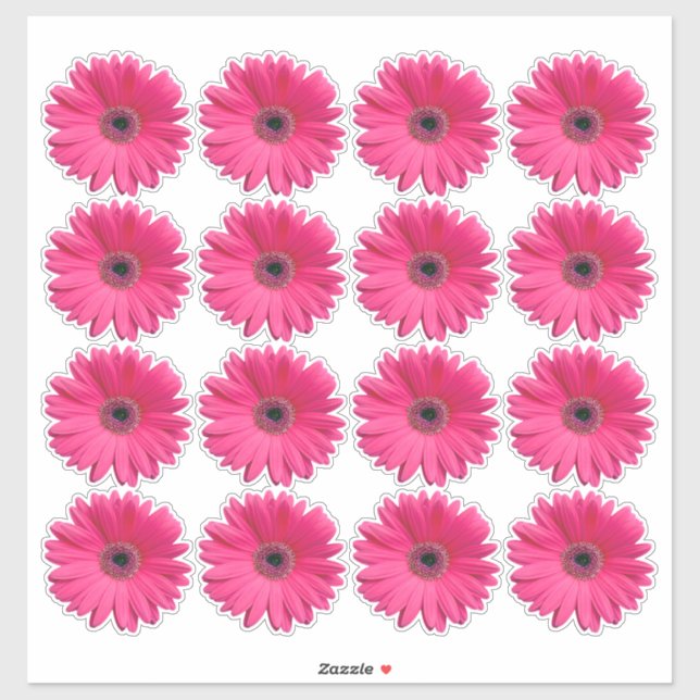 16 autocollants en forme de fleur de gerbera rose (Feuille)