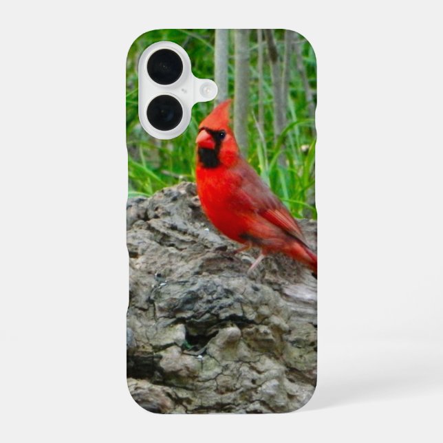 16 Coque iphone du cardinal rouge (Verso)