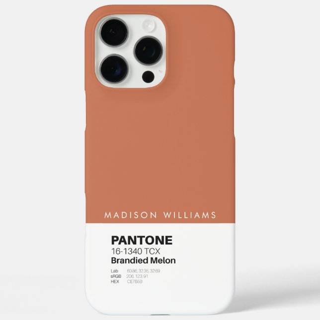 16 Pro Max iPhone / coque ipad (Verso)