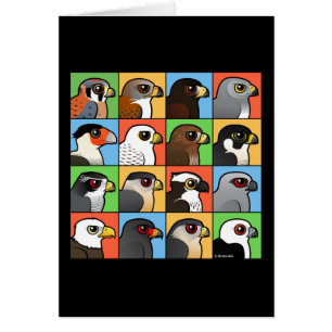 16 profils de Nord-américain Raptor