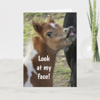 **16e ANNIVERSAIRE** Carte PONY SURPIRÉE