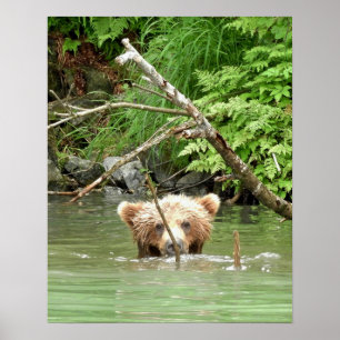 16x20 Poster Papier (Matte) de grizzli