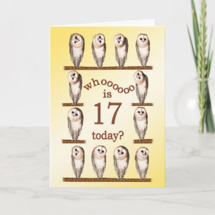 17ème anniversaire, Carte des chouettes curieux.