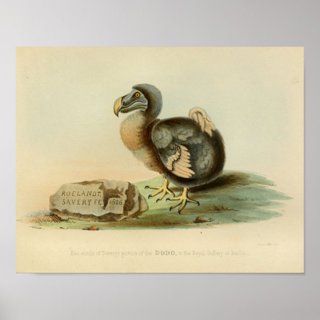 1848 Dodo Bird couleur Vintage impression (Devant)