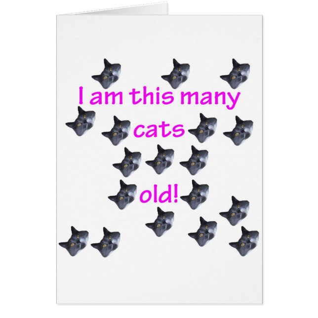 18 têtes de chat vieilles (Devant)