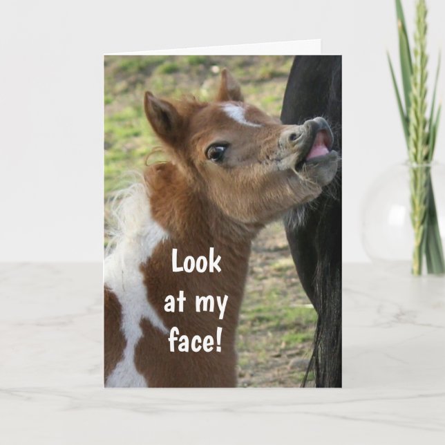 **18e ANNIVERSAIRE** Carte PONY SURPIRÉE (Devant)