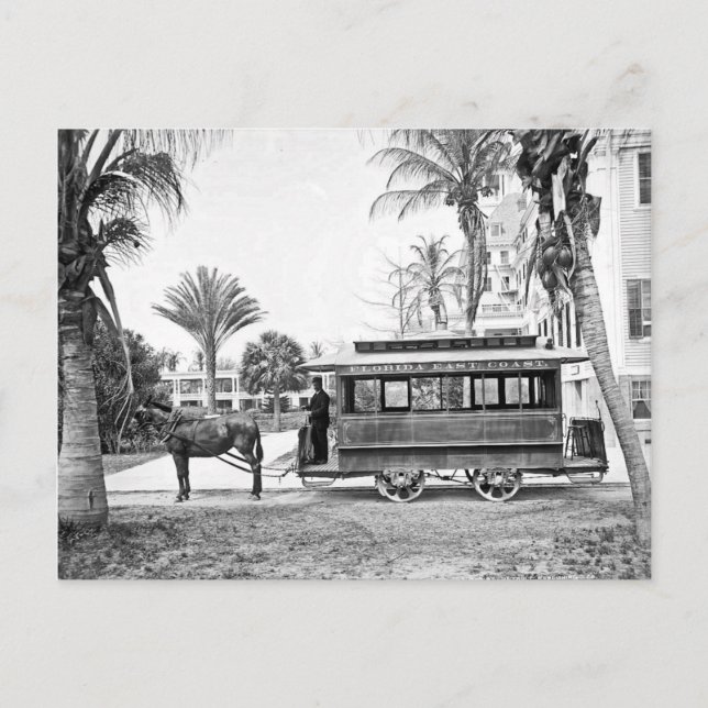 1909 Palm Beach Florida Trolley Carte postale (Devant)