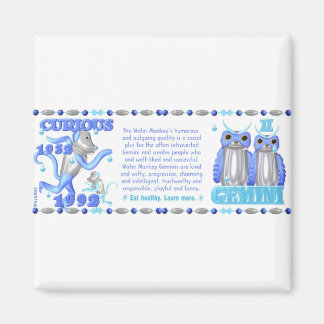 1992 Monkey Gemini Magnet Carré 2"