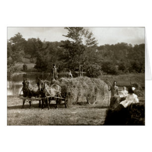 19e C. Agriculteurs au travail