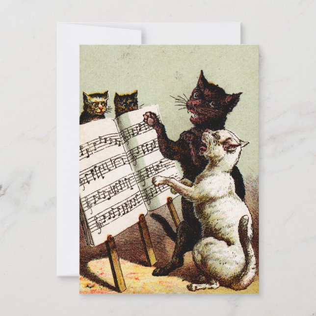 19e C. Chats chanteurs (Devant)