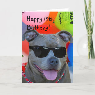19ème carte de voeux heureuse de Pitbull