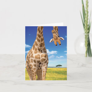 1 Carte Anniversaire Adorable - Girafe À L'Hausse