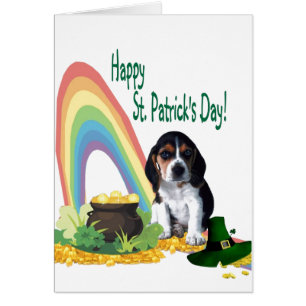 1. Chiot adorable de Basset Hound