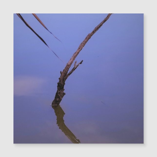 #1-Etang de Scamandre en Camargue. Aimant (Devant)