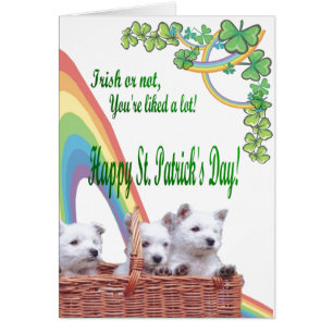 1. Westie adorable irlandais ou pas vous sont