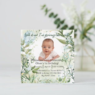 1er anniversaire de bébé, regarde-moi...