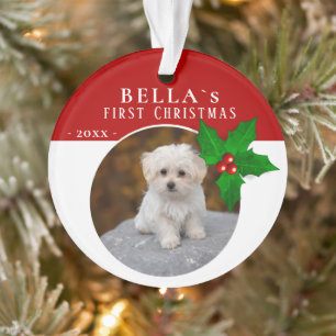 1er Chiot`s Christmas Holly Berry Dog Pet Photo