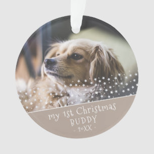 1er Noël Chien animal de compagnie photo gardienn