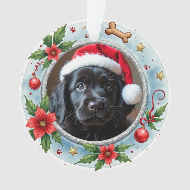 1er Noël Pawfect Beginnings recto-verso (devant)