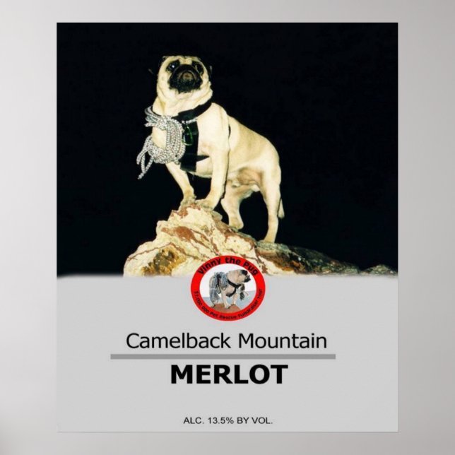 1Lt. Vincent Thomas Carlins Étiquette privé Poster (Devant)