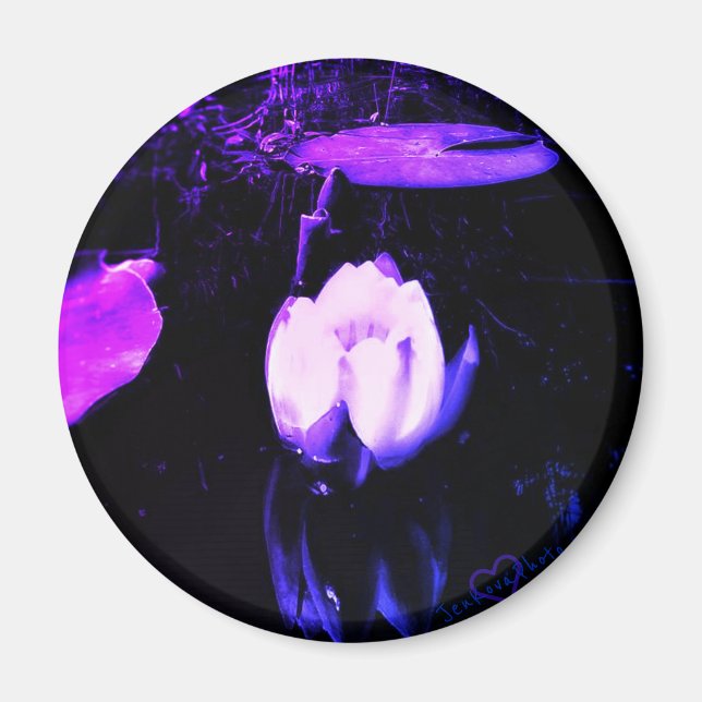 1PURPLE LOTUS MAGNET (Devant)