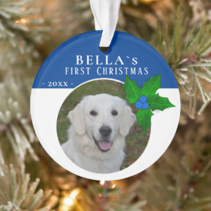 1st Puppy`s Christmas Holly Berry Chien Pet Photo