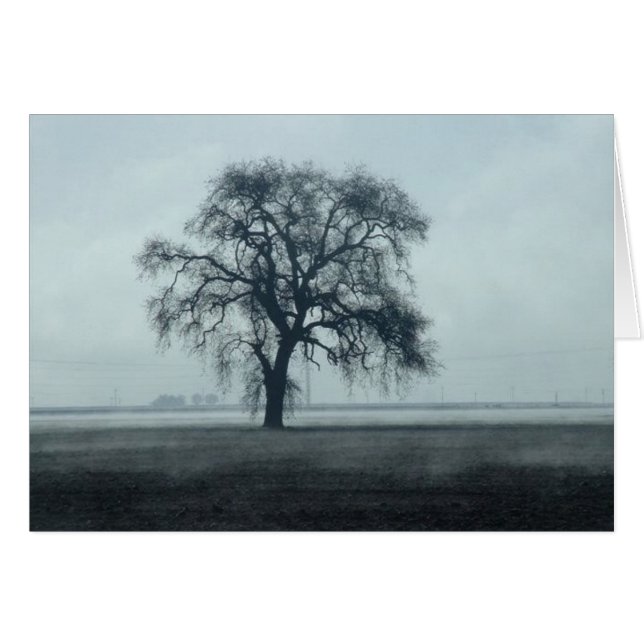 2004February 260 (Devant horizontal)