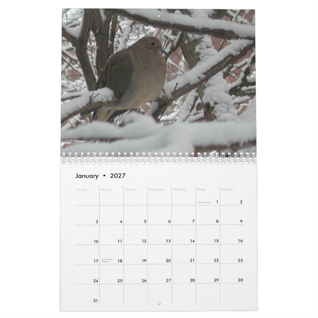 2009 calendriers "du jardin de l'homosexuel" (Jan 2027)