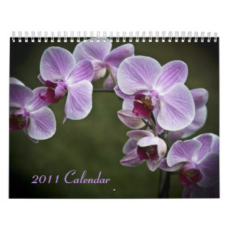 2011 calendrier - fleurs