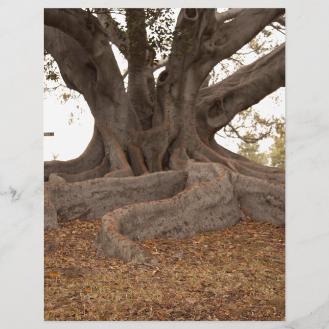 20130615_cal13_0249.jpg (Devant)