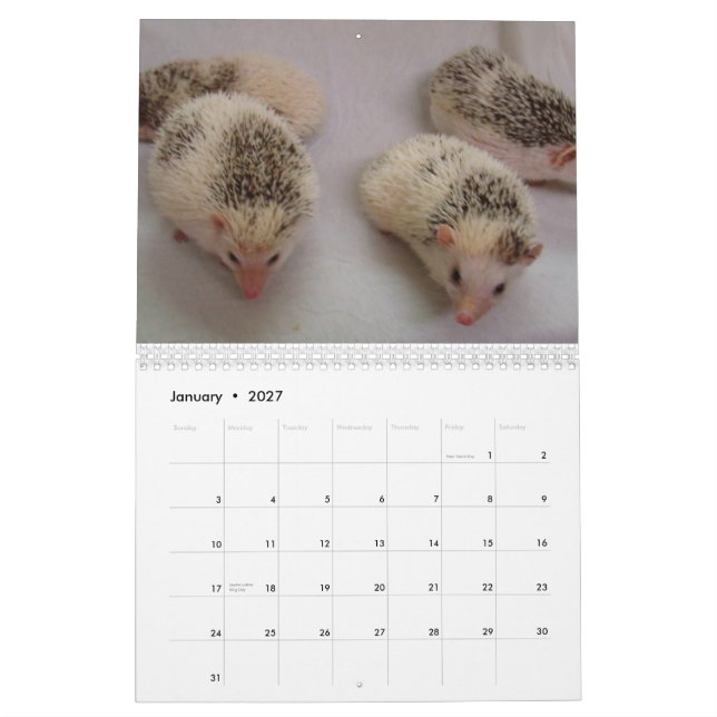 2013 calendrier 4 (Jan 2027)