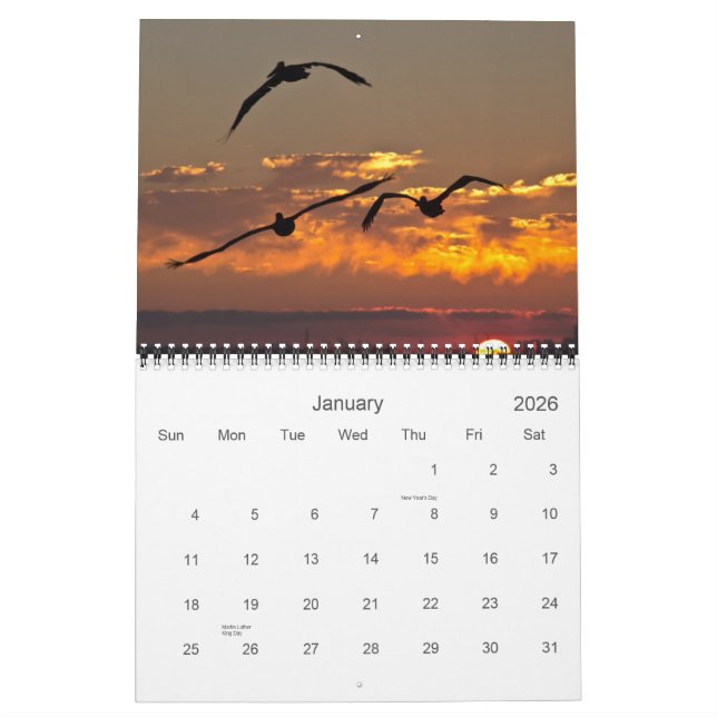 2013 calendrier - ailes (Jan 2026)