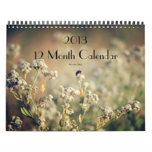 2013 calendrier de 12 mois