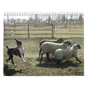 2014 calendriers maladroits de boxeur